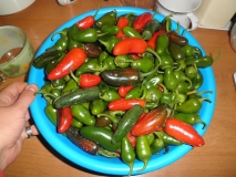 2 kg Jalapeno