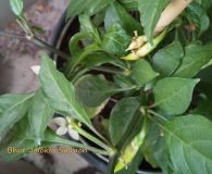 IMG_20200716_192933