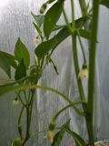 IMG_20200604_064105