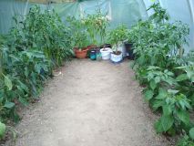 IMG_20200713_112110