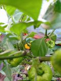IMG_20200807_181954