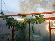 IMG_20200807_182501