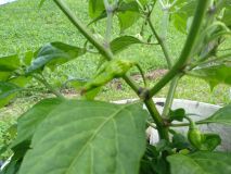 IMG_20200811_172935