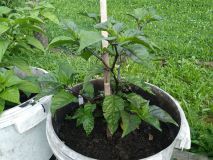 IMG_20200817_155830