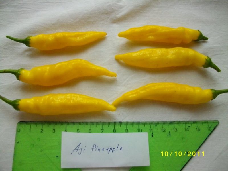 Aji pineapple