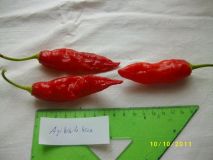 Aji white wax