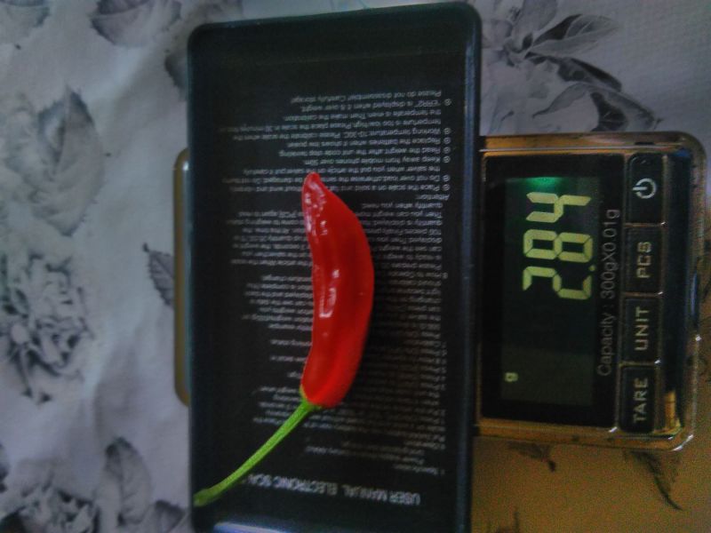 196O