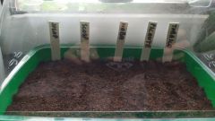 IMG_20200830_143549