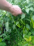 IMG_20200831_174140