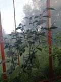 IMG_20200831_174621