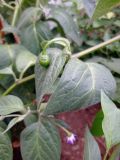 IMG_20200831_175406