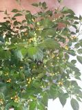 IMG_20200907_140013