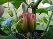 IMG_20200907_191757