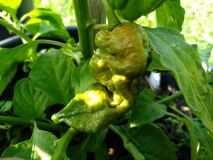 IMG_20200914_163457