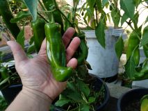 IMG_20200914_162513