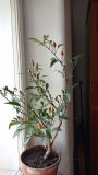 IMG_20201003_122603