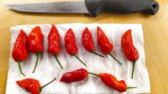 IMG_20201004_181729