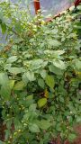 IMG_20201006_133913