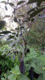 IMG_20201006_134628