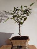 IMG_20201015_150444
