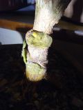 IMG_20201015_212046