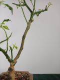 IMG_20201024_103954