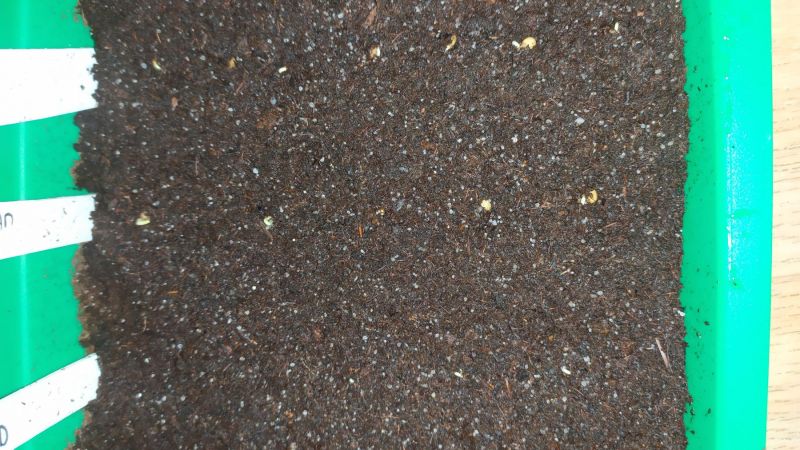 IMG_20210121_191734