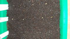 IMG_20210121_191734