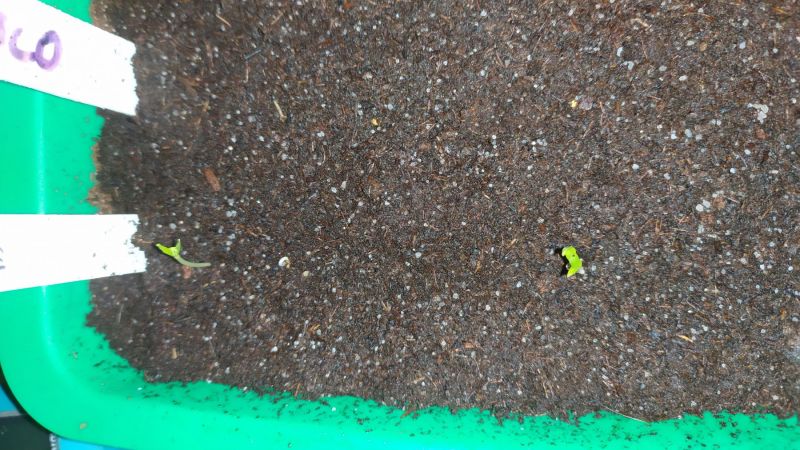 IMG_20210121_191723
