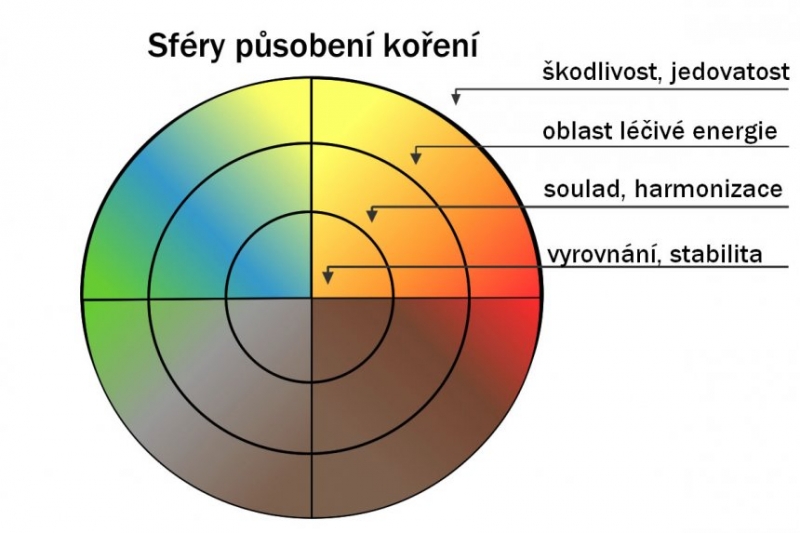 Účinky koření