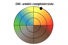 Chilli v energetickém kruhu