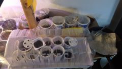 IMG_20210131_115844