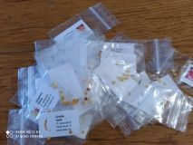 IMG_20210203_154046