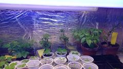 IMG_20210211_165533