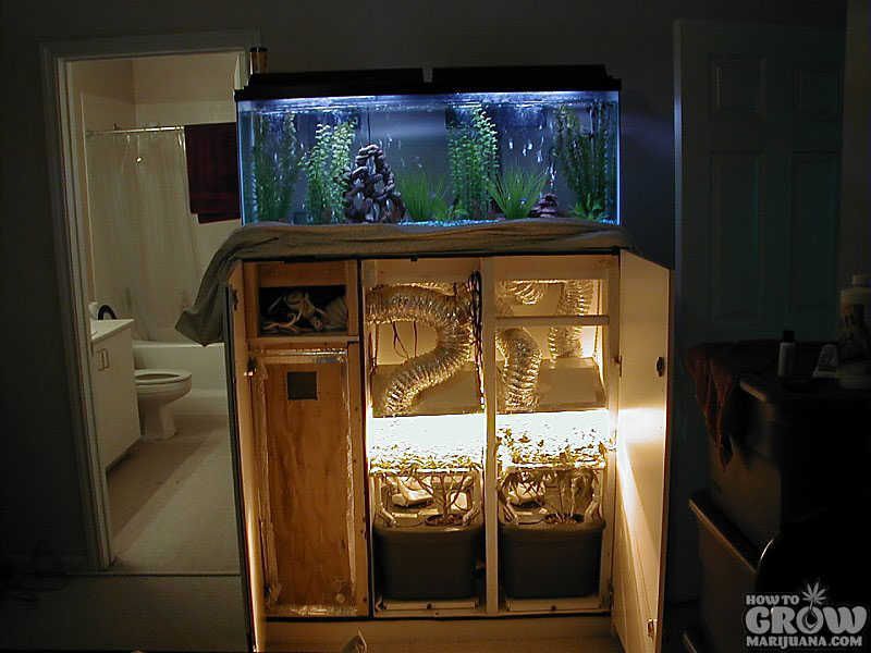 DIY-Marijuana-Grow-Box