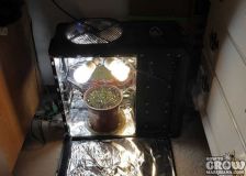 DIY-Marijuana-PC-Grow-Box