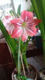IMG_20210226_132610