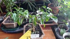 IMG_20210317_163003