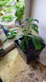 IMG_20210405_194358
