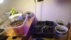 IMG_20210405_195504