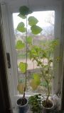 IMG_20210425_094903