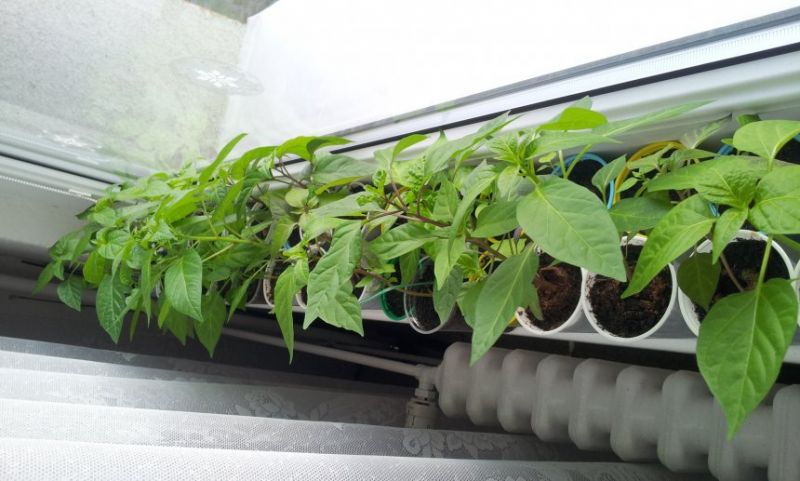 20120302 162446