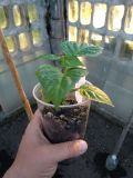 IMG_20210509_192331