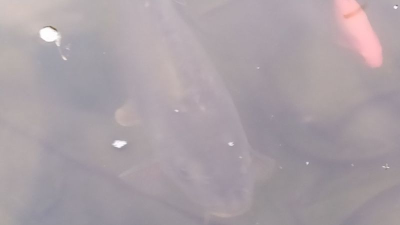 IMG_20210530_200410
