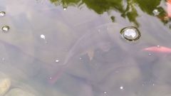 IMG_20210530_200413