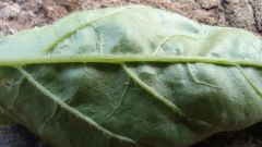 IMG_20210626_105040