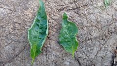 IMG_20210626_104839