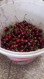 IMG-20210626-WA0014