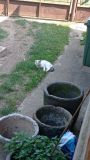IMG_20210706_143854