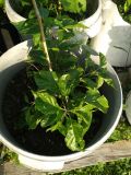 IMG_20210716_191422